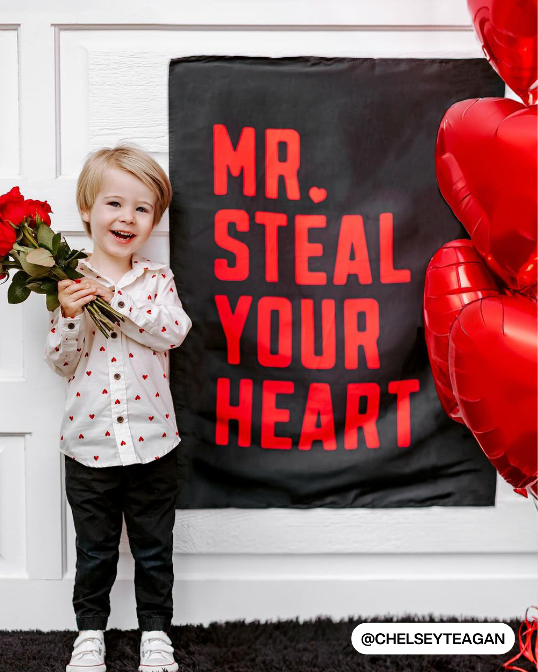Mr. Steal Your Heart Banner