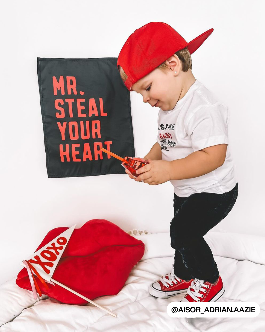 Mr. Steal Your Heart Banner