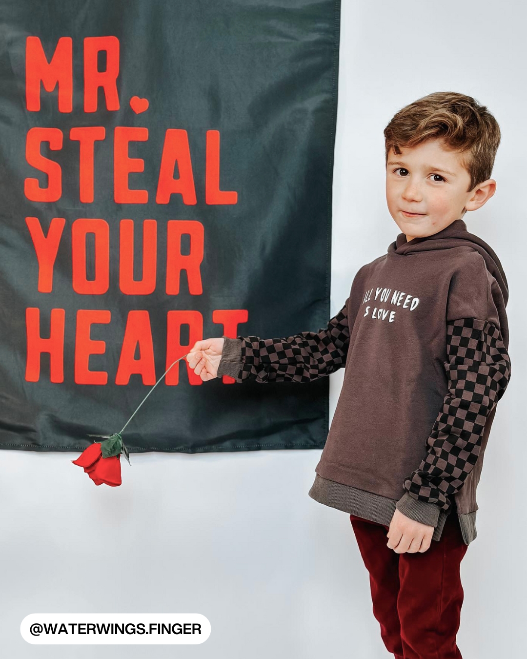 Mr. Steal Your Heart Banner
