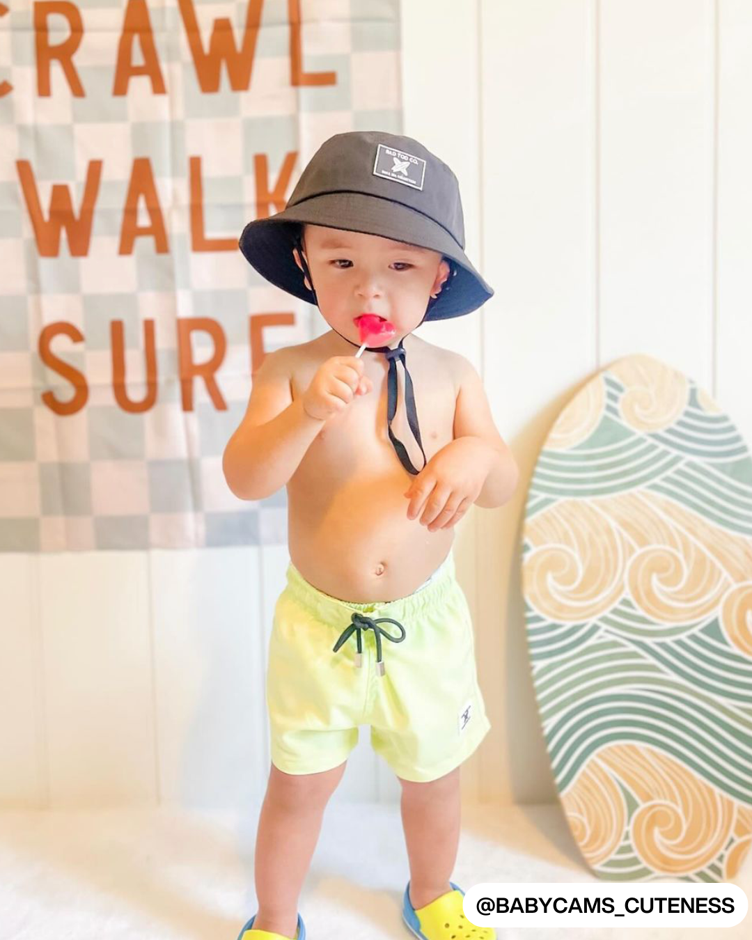 Crawl Walk Surf Banner