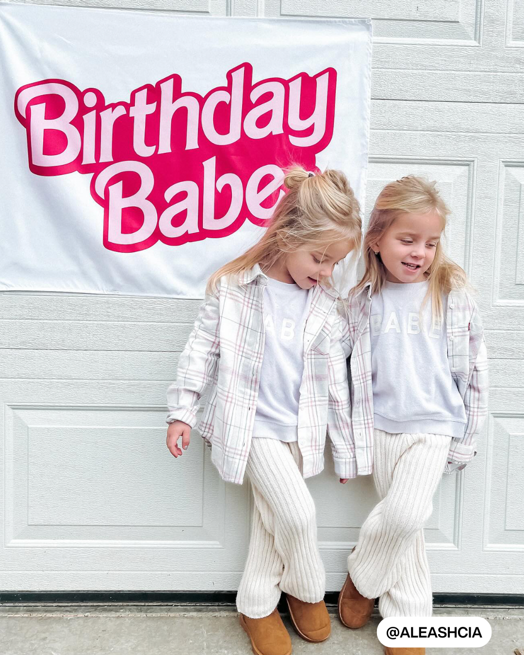 Birthday Babe Banner (Barbie Inspired)