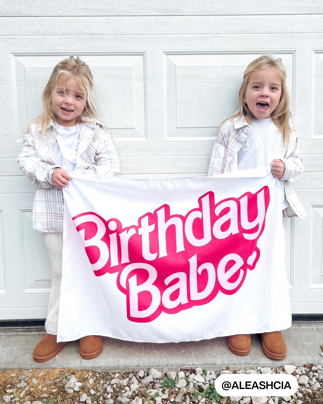 Birthday Babe Banner (Barbie Inspired)