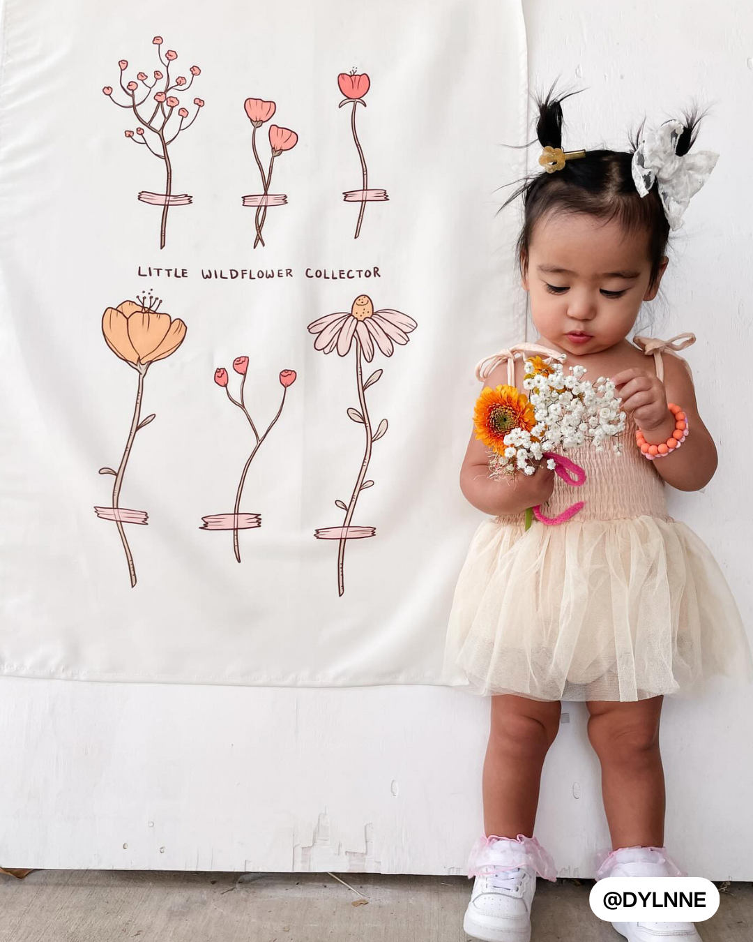 Wildflower Collector Banner