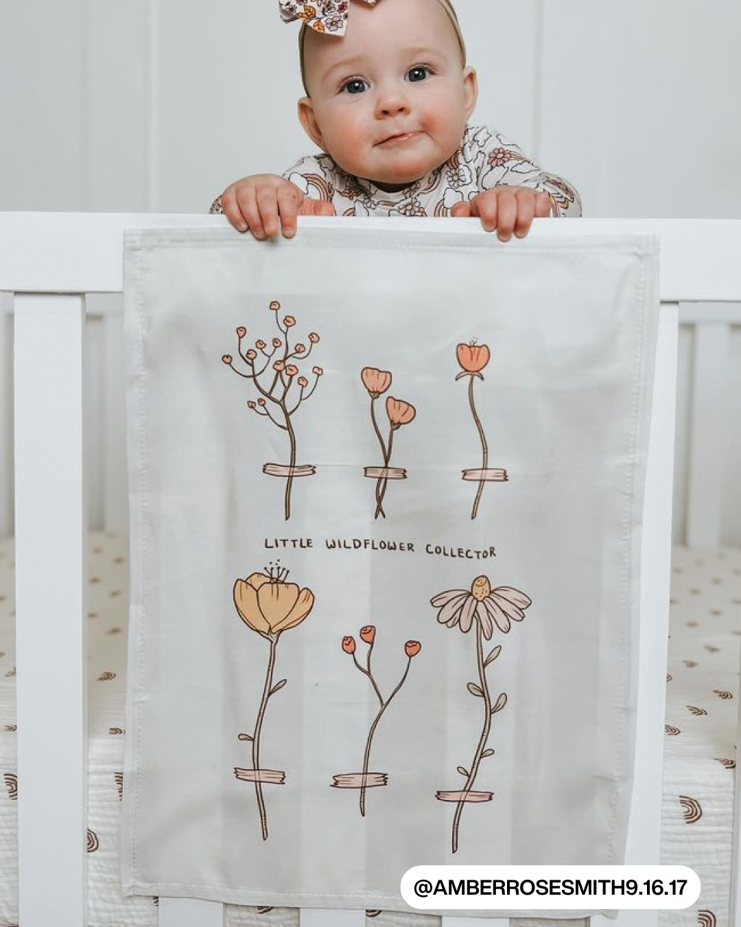 Wildflower Collector Banner