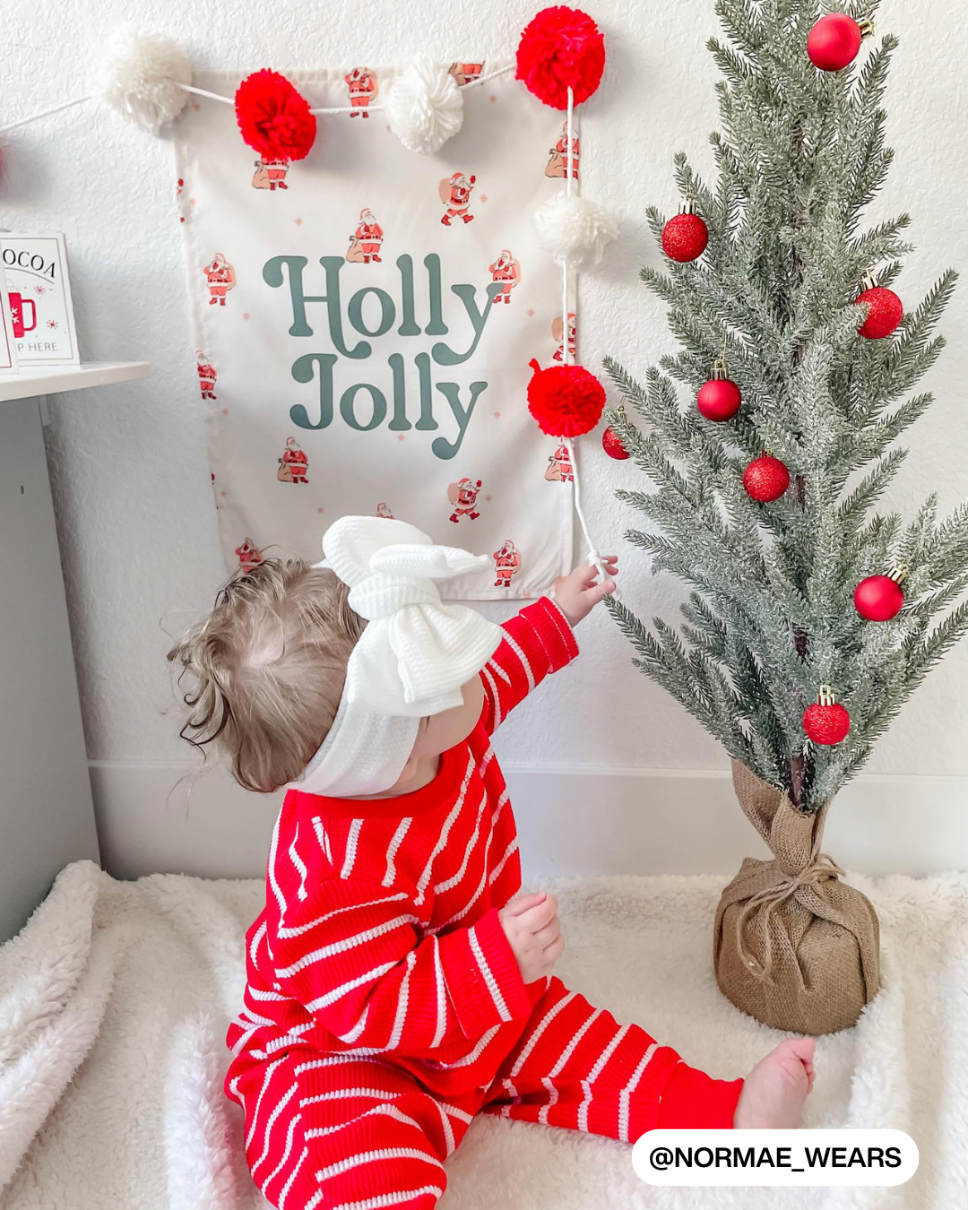 Holly Jolly Santa Banner