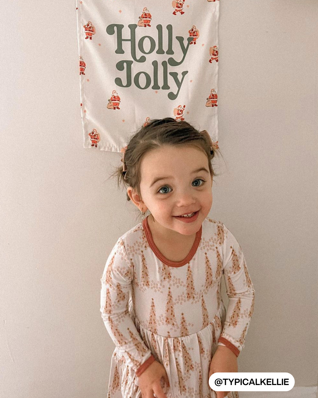 Holly Jolly Santa Banner