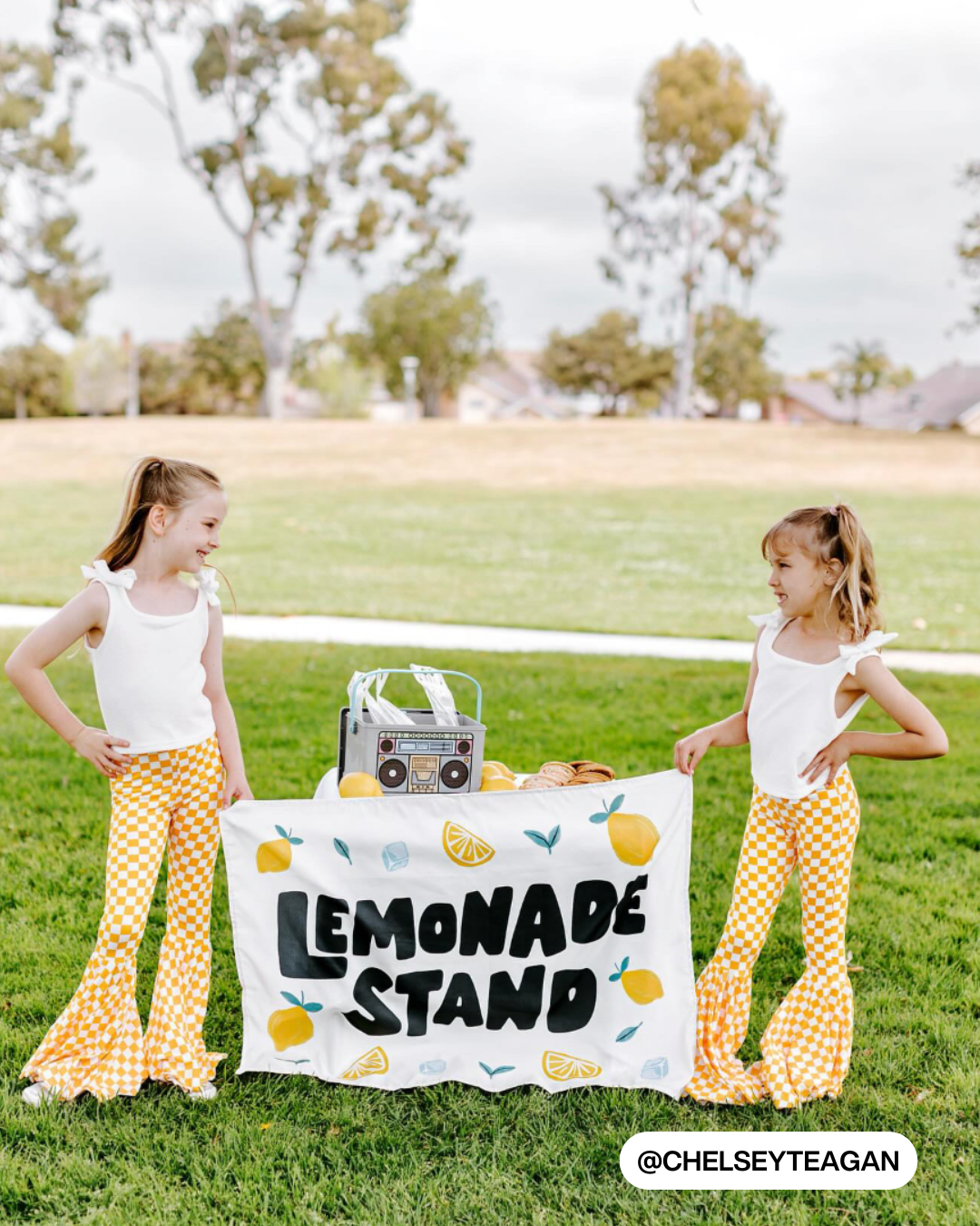 Lemonade Stand Banner