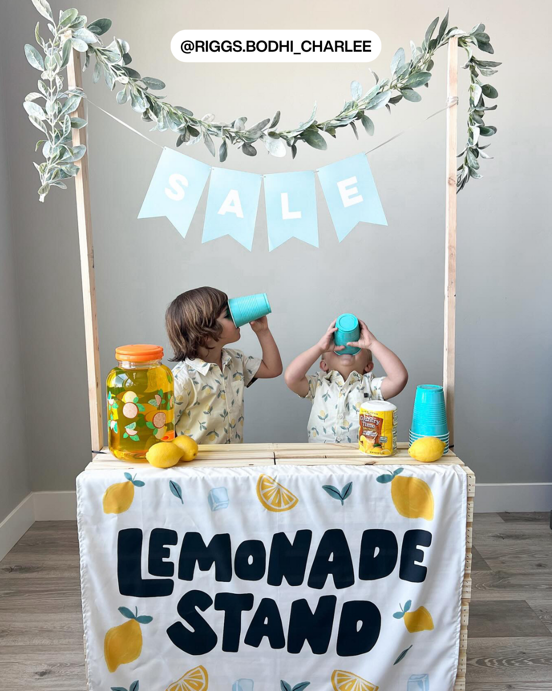 Lemonade Stand Banner