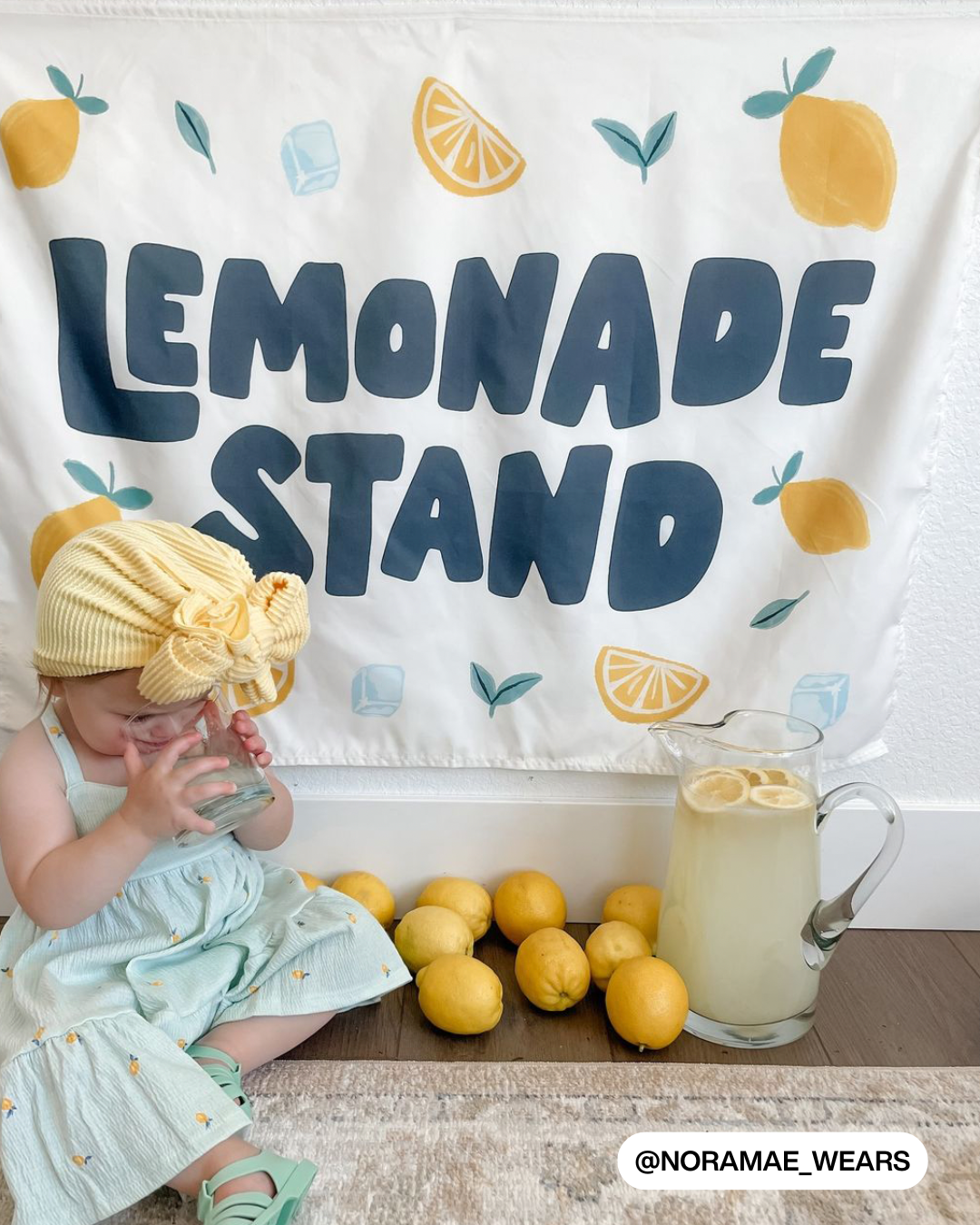 Lemonade Stand Banner