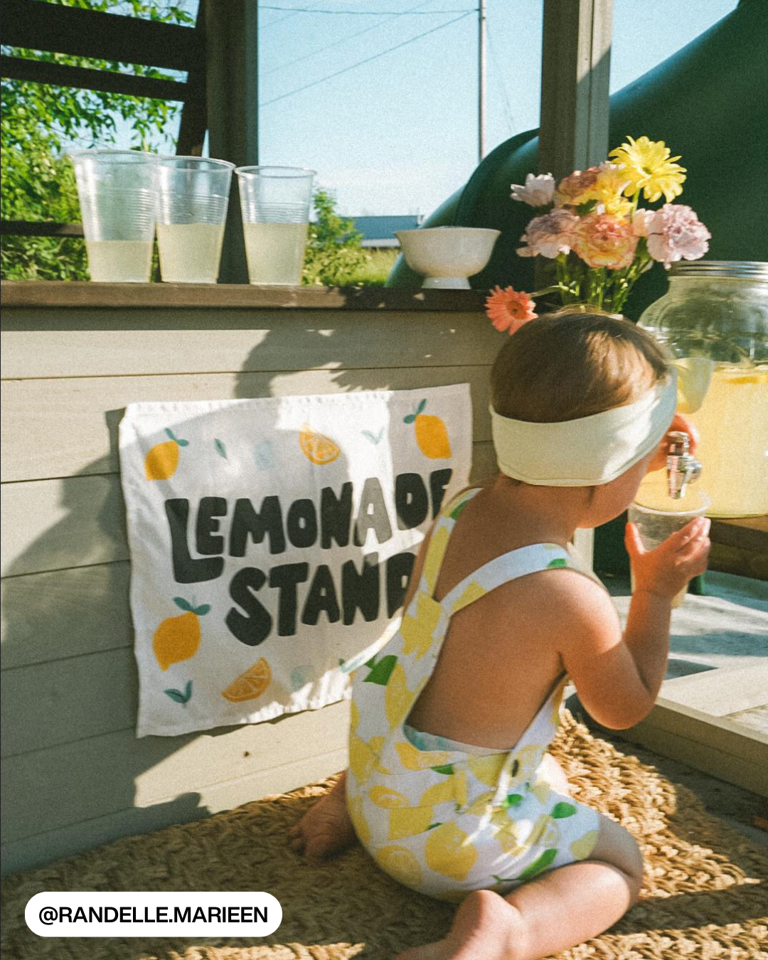 Lemonade Stand Banner