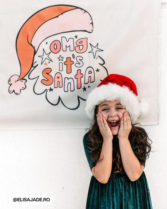 Omg It's Santa Banner