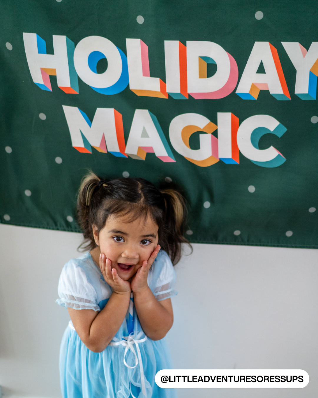 Holiday Magic Banner (Green)