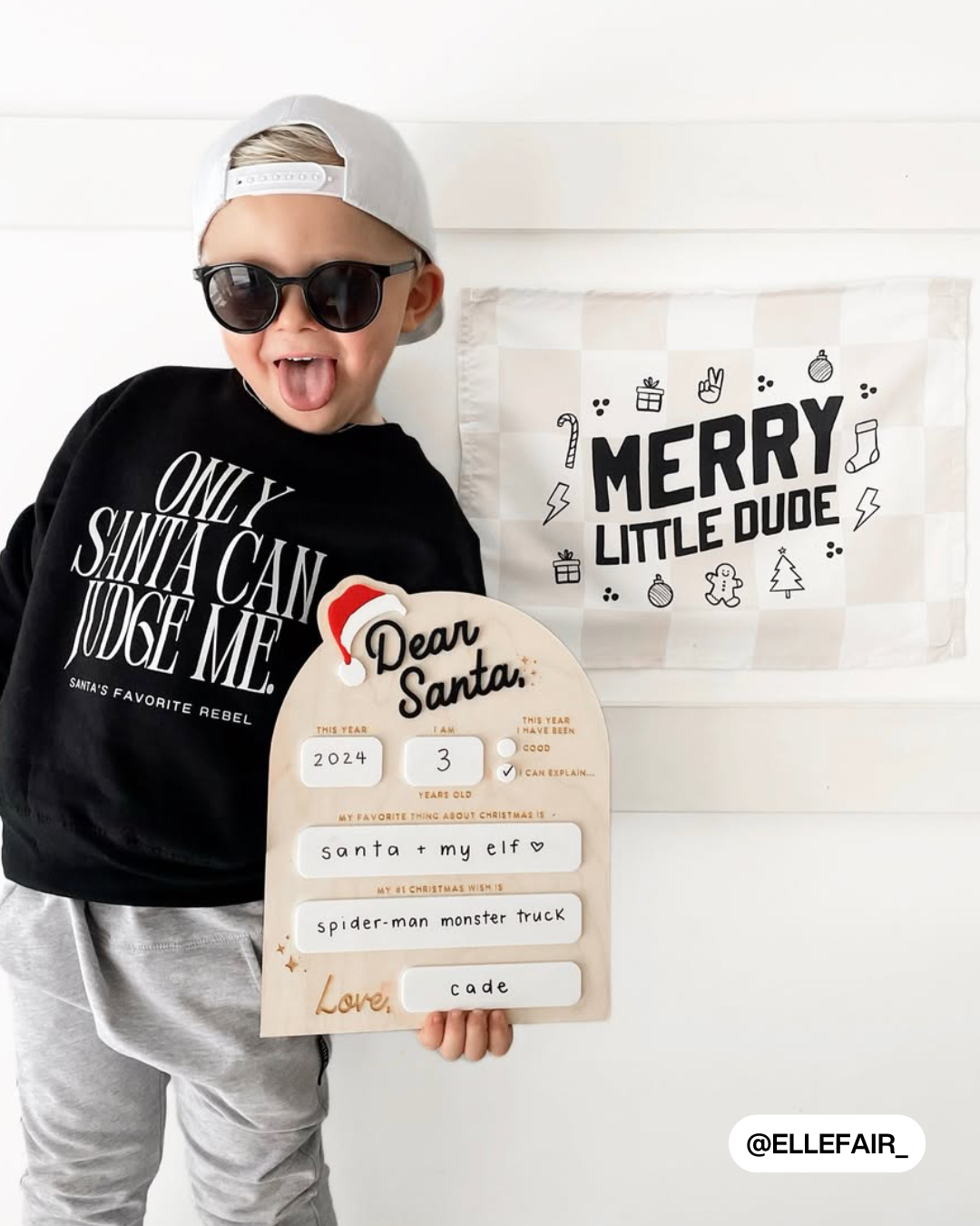 Merry Little Dude Banner