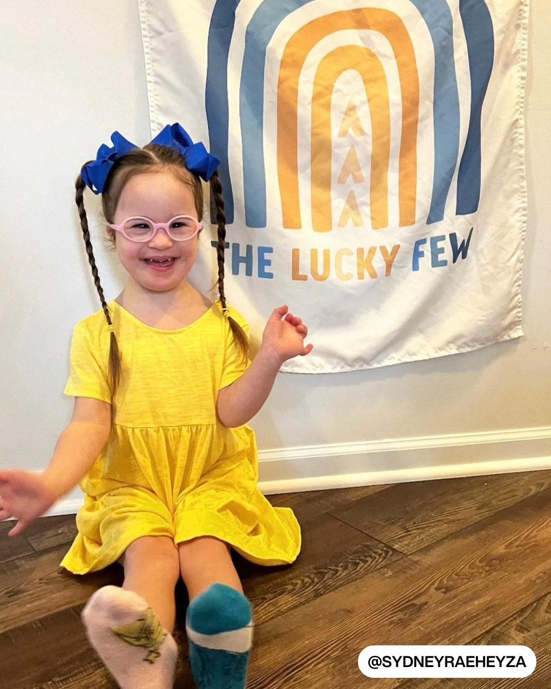 The Lucky Few Banner (Down Syndrome Awareness)