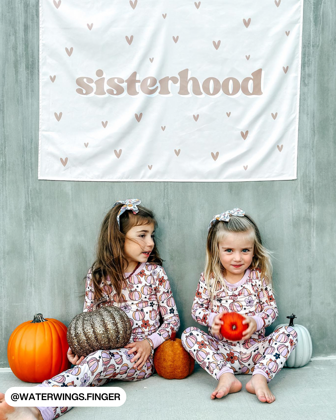 Sisterhood Banner