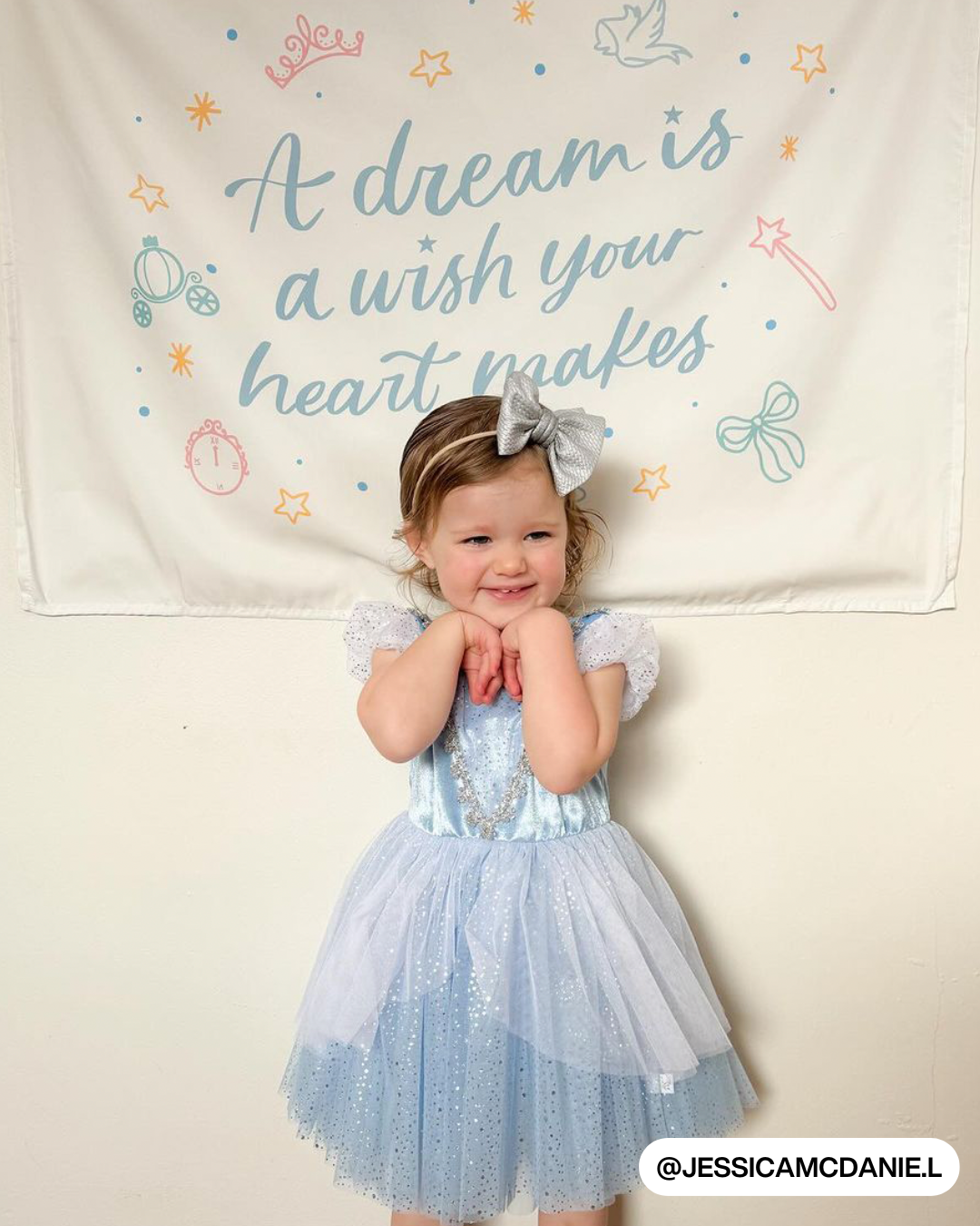 A Dream Is A Wish Your Heart Makes (Neutral) Banner
