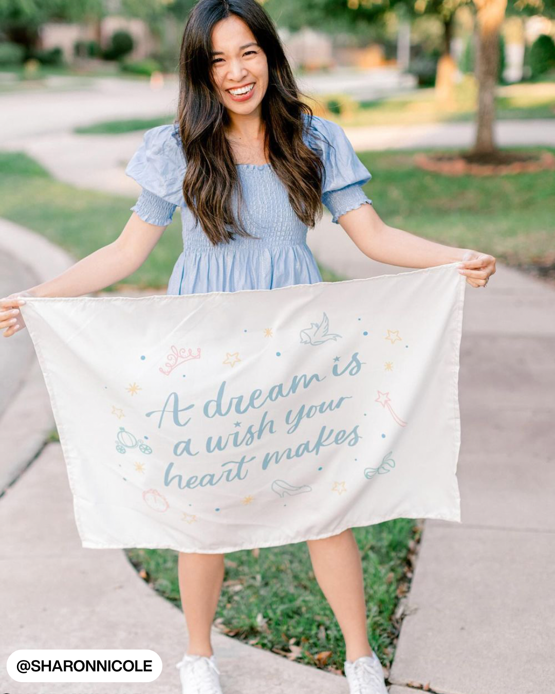 A Dream Is A Wish Your Heart Makes (Neutral) Banner