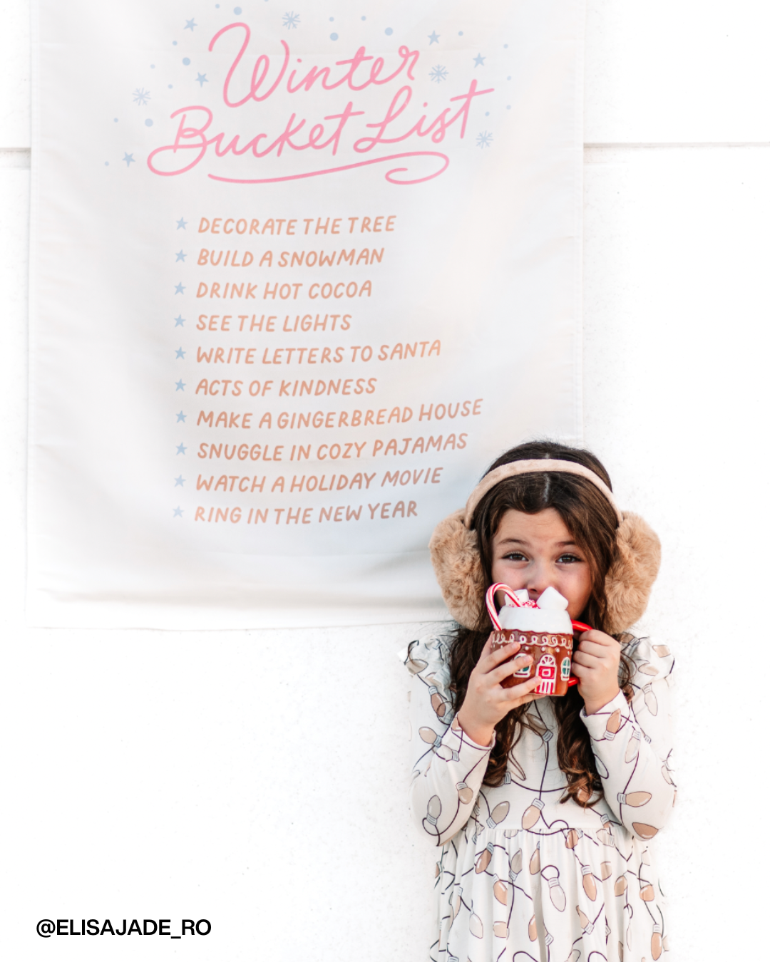 Winter Bucket List Banner (Pink)
