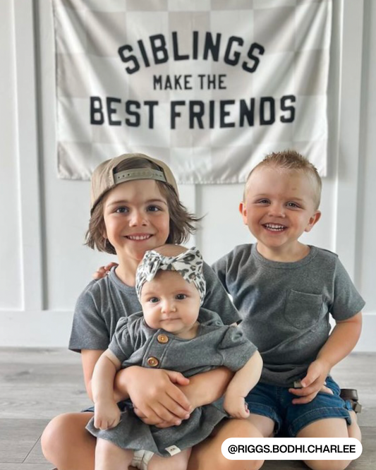 Siblings Make The Best Friends Banner