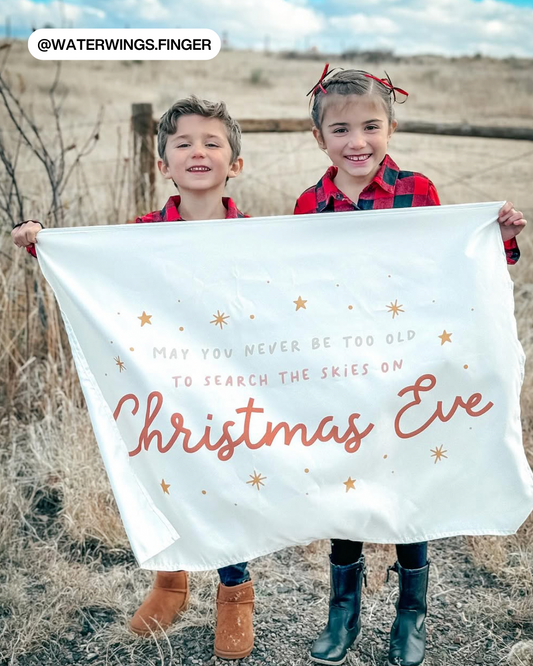 Search The Skies on Christmas Eve Banner