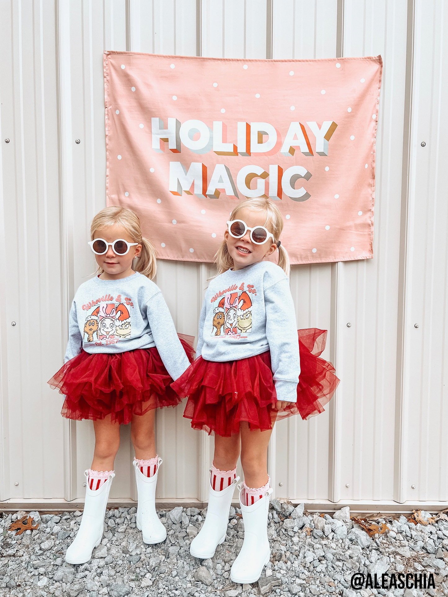 Holiday Magic Banner (Pink)