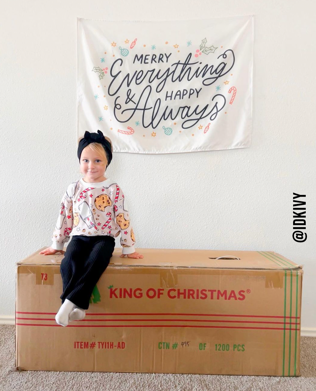 Merry Everything & Happy Always Banner