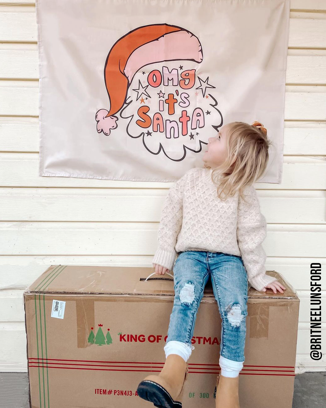 Omg It's Santa Banner