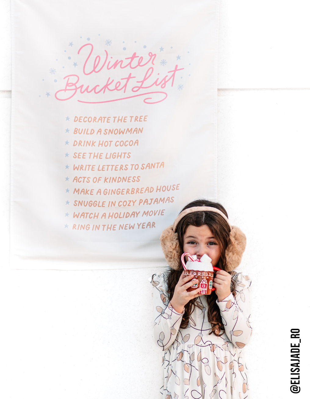 Winter Bucket List Banner (Pink)