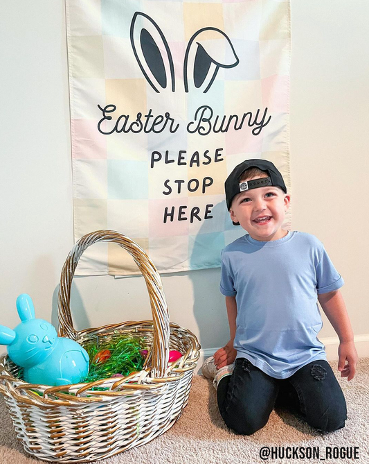 Easter Bunny Please Stop Here Banner (Pastel)