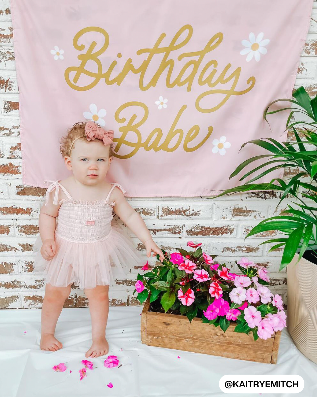 Birthday Babe Banner (Daisies)