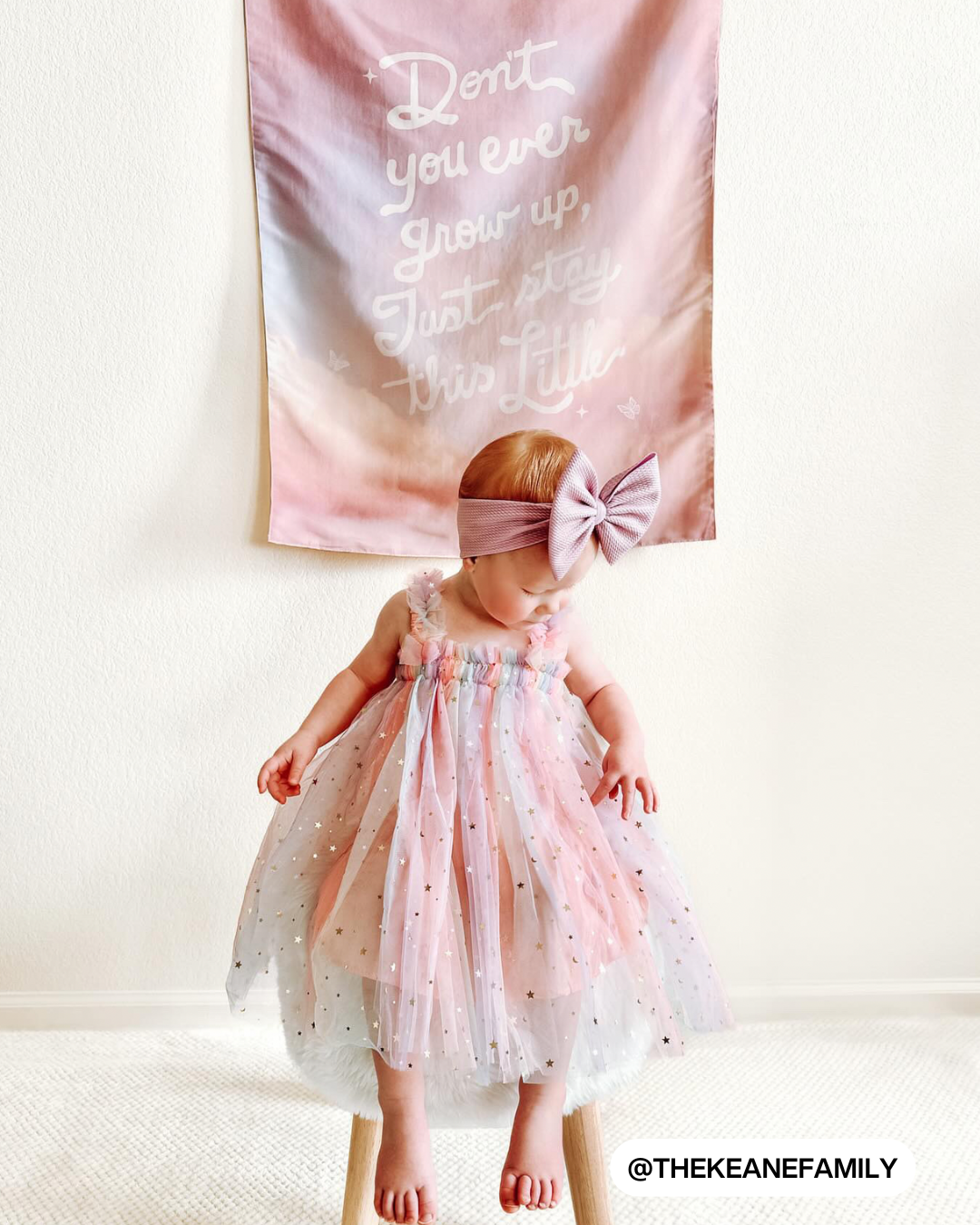 TS Long Live / Never Grow Up Reversible Banner