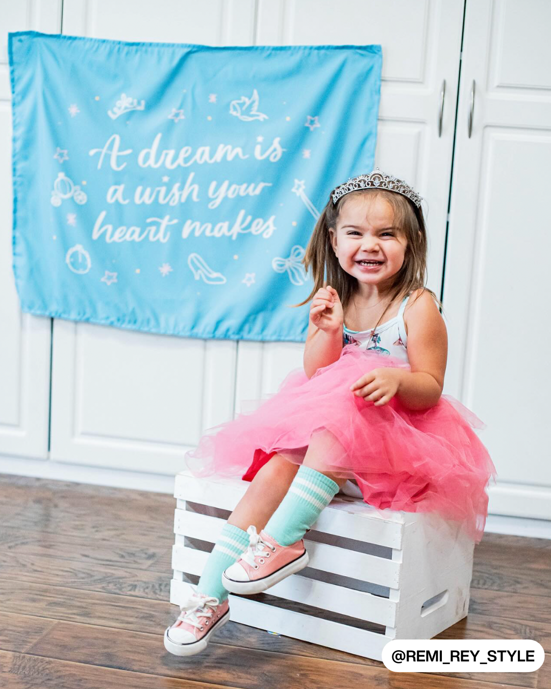 A Dream Is A Wish Your Heart Makes (Blue) Banner