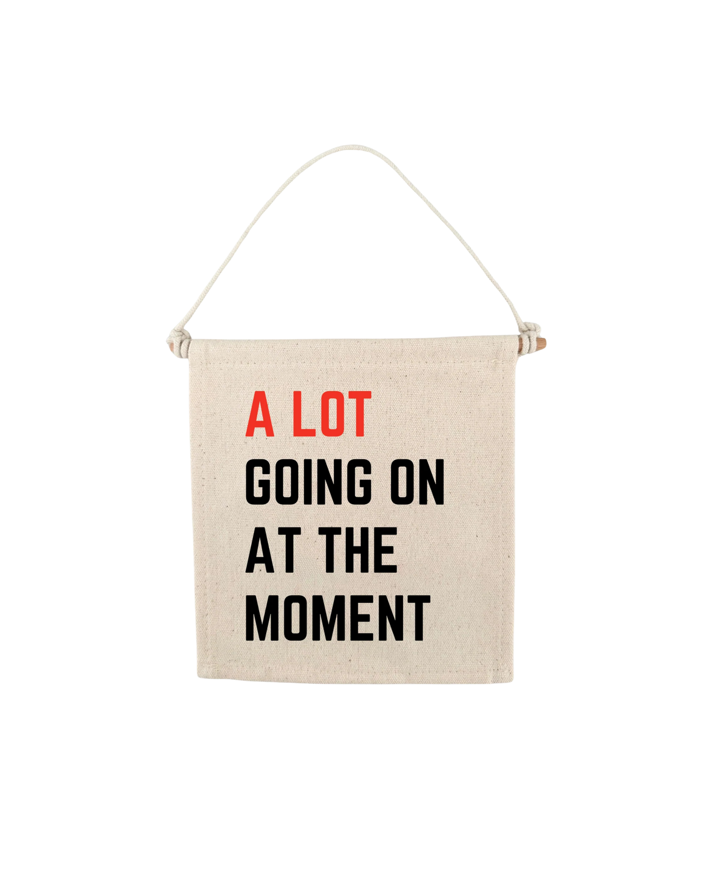 TS A lot Going On At The Moment Swiftie Canvas Hang Sign