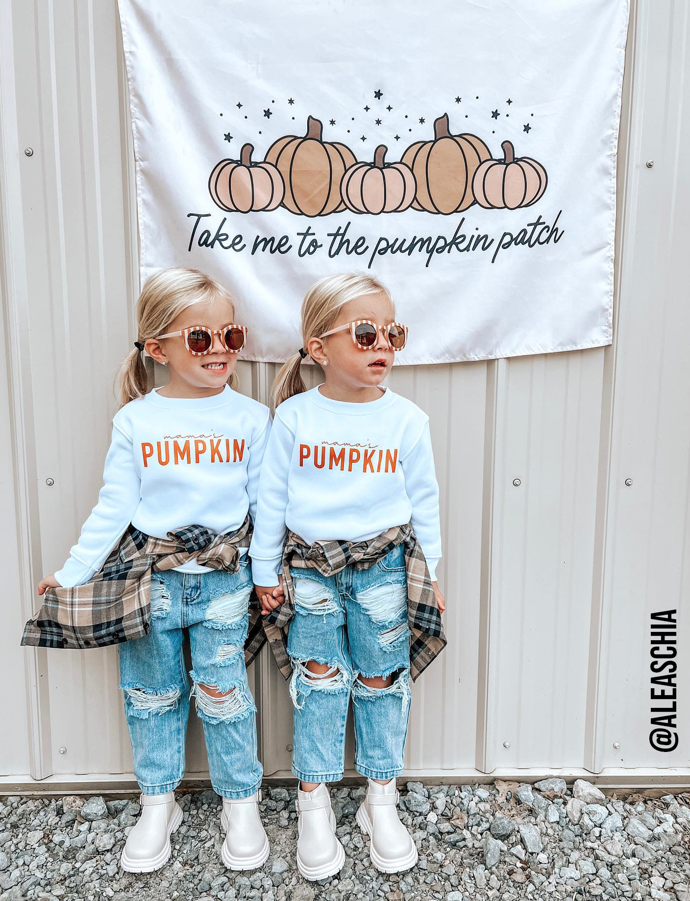Take Me To The Pumpkin Patch Banner