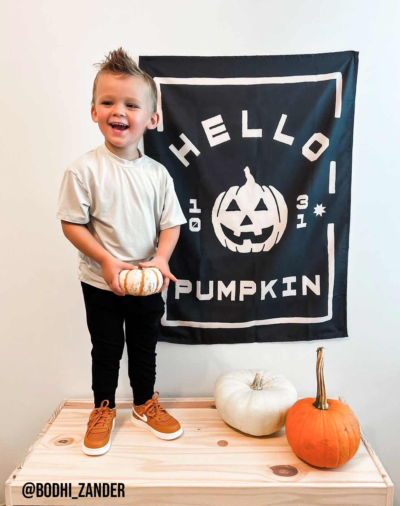 Hello Pumpkin Banner