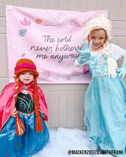 The Cold Never Bothered Me Anyway Banner