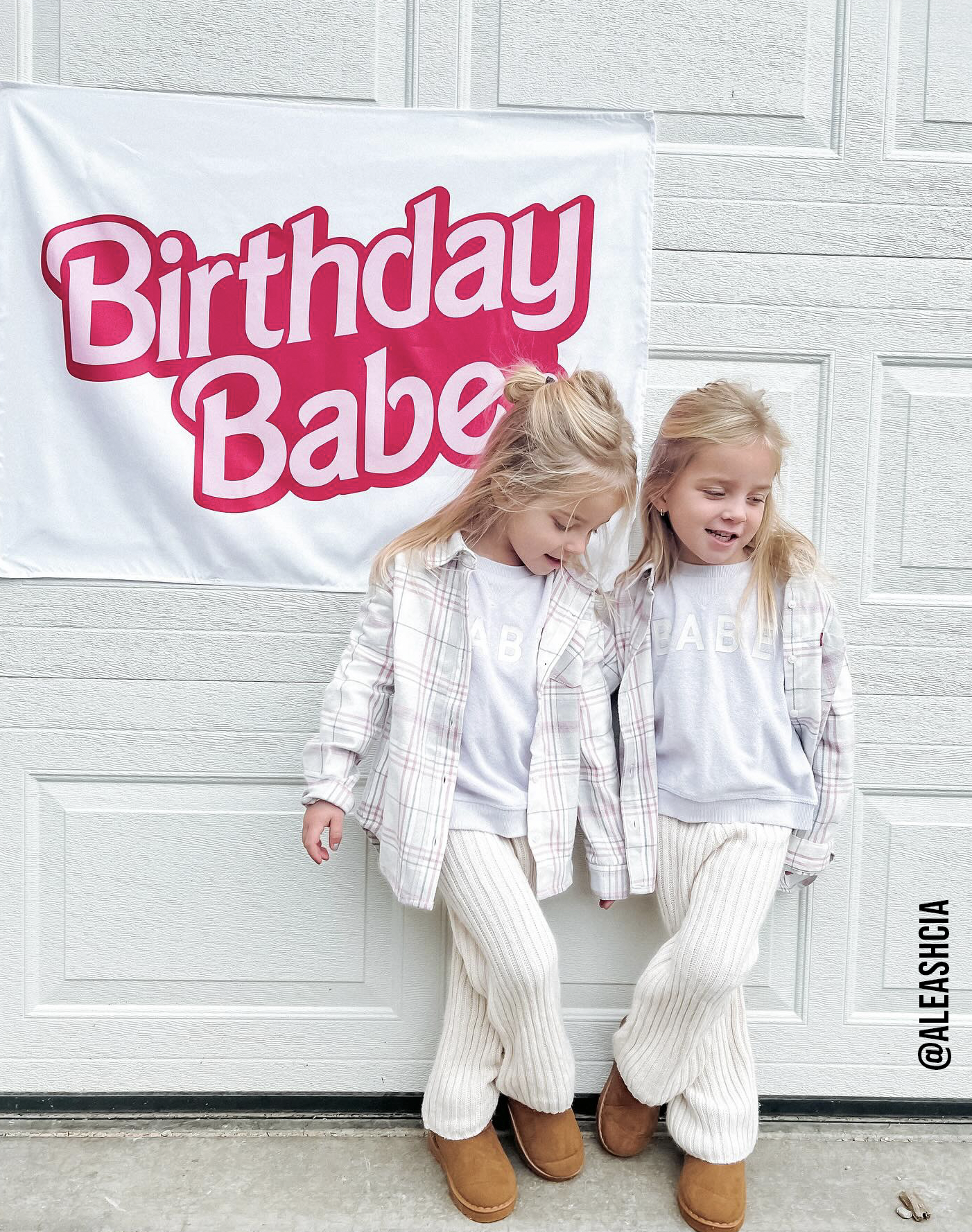 Birthday Babe Banner (Barbie Inspired)