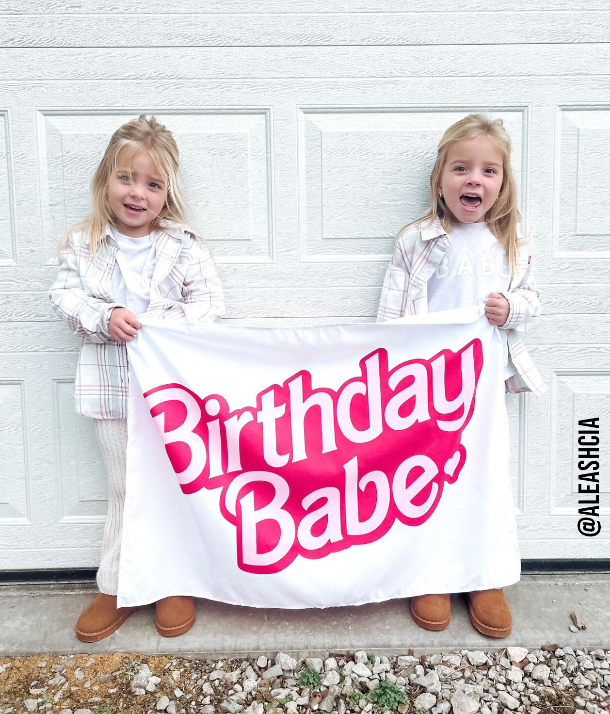 Birthday Babe Banner Barbie Inspired Cherrypick