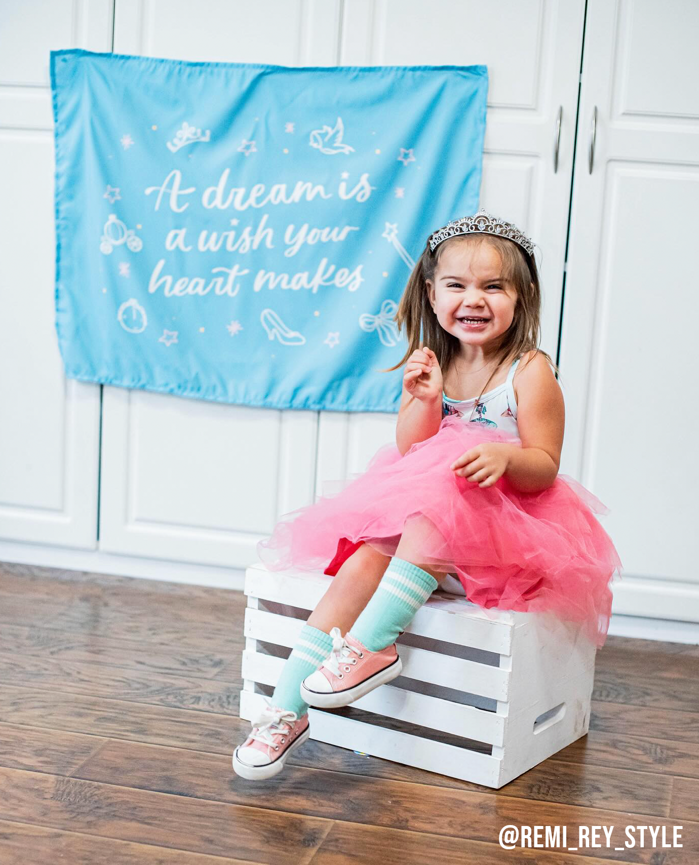 A Dream Is A Wish Your Heart Makes (Blue) Banner