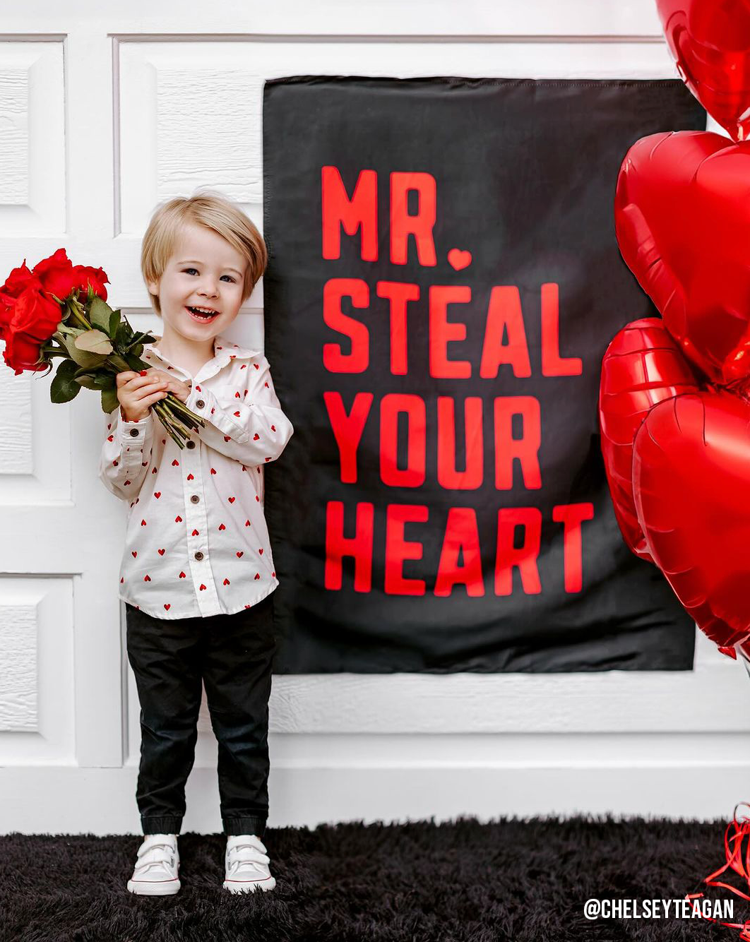 Mr. Steal Your Heart Banner