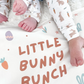 Little Bunny Bunch Banner