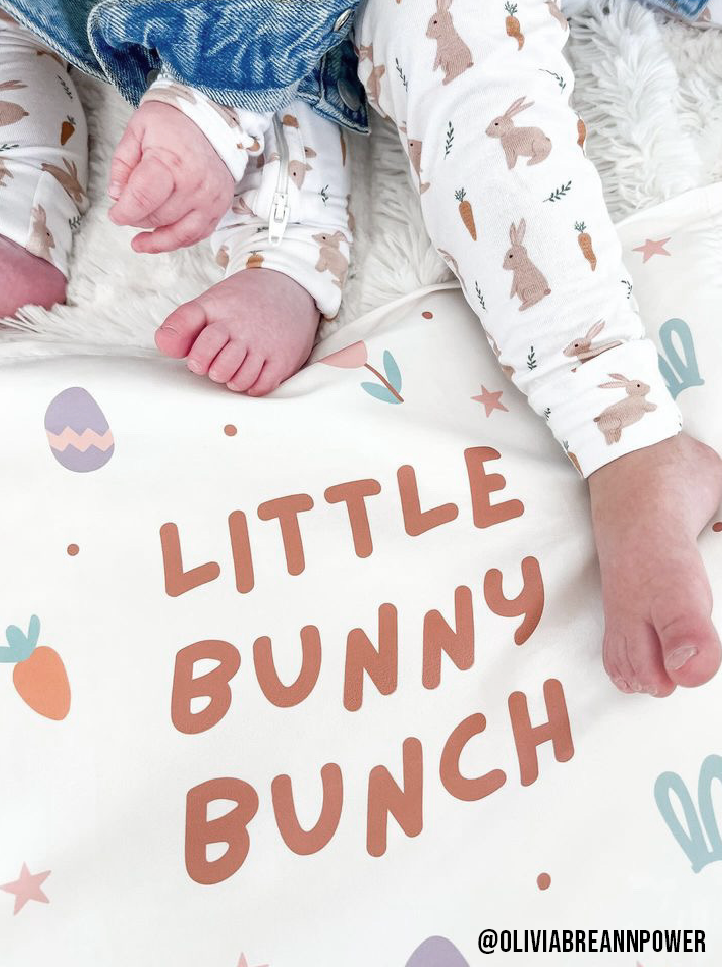 Little Bunny Bunch Banner