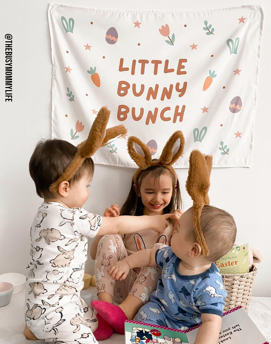 Little Bunny Bunch Banner