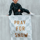 Pray For Snow Banner