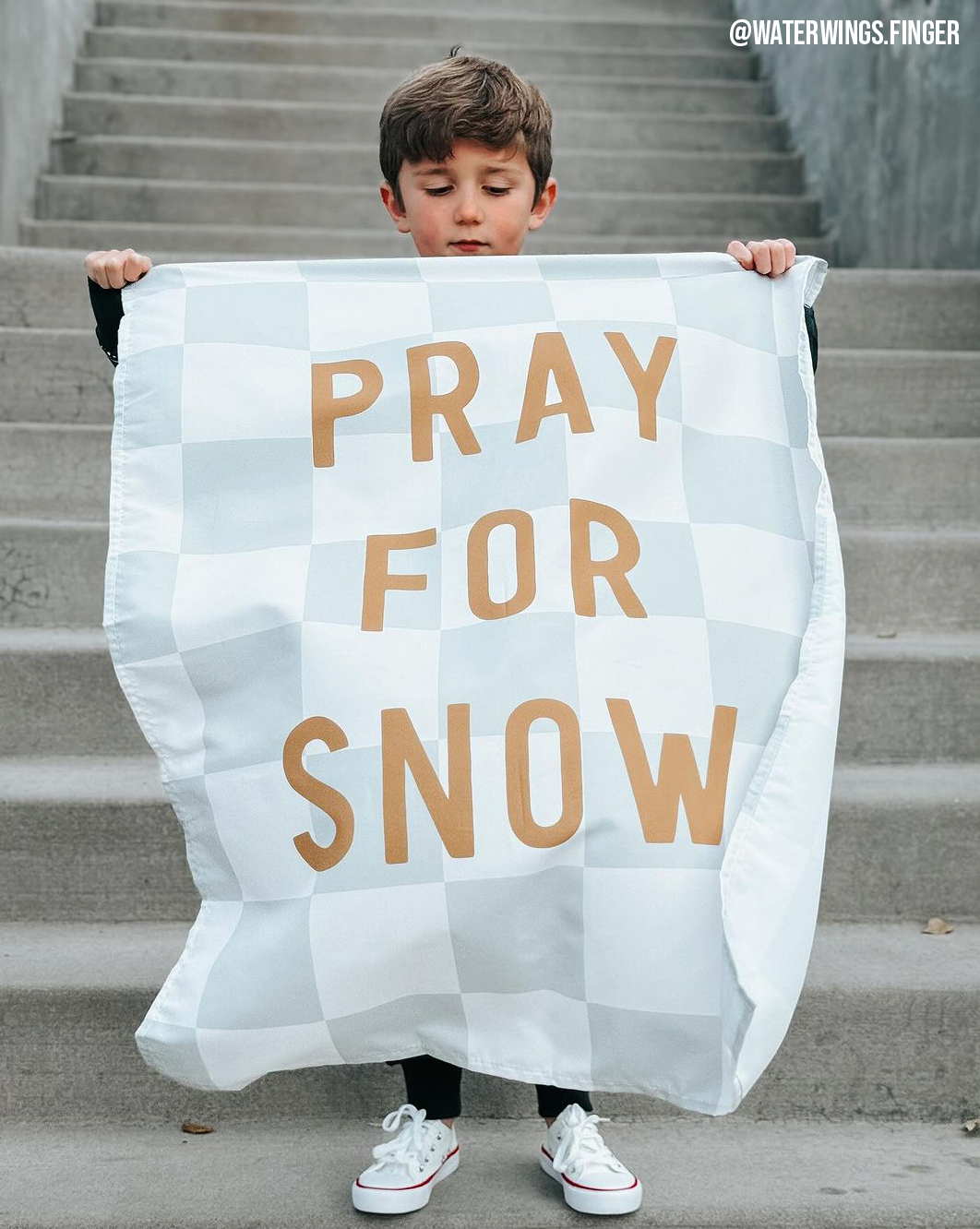 Pray For Snow Banner