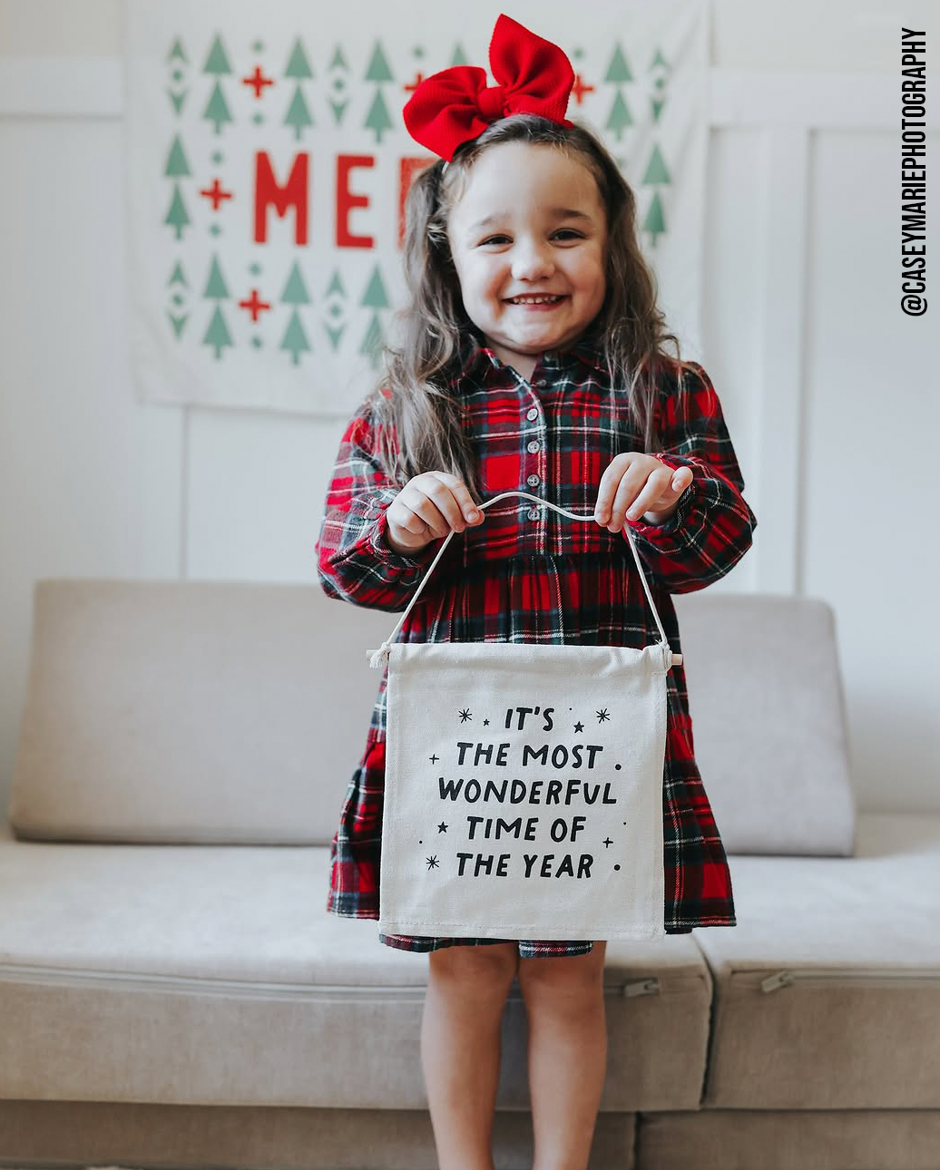 The Most Wonderful Time of The Year Christmas Canvas Hang Sign